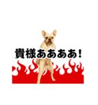 踊る！横揺れ界隈/フレンチブルドック（個別スタンプ：18）