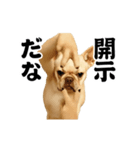 踊る！横揺れ界隈/フレンチブルドック（個別スタンプ：22）