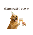 大切な人へ★犬いっぱいHAPPY BIRTHDAY★（個別スタンプ：2）