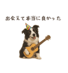 大切な人へ★犬いっぱいHAPPY BIRTHDAY★（個別スタンプ：7）