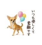 大切な人へ★犬いっぱいHAPPY BIRTHDAY★（個別スタンプ：8）