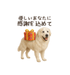 大切な人へ★犬いっぱいHAPPY BIRTHDAY★（個別スタンプ：14）