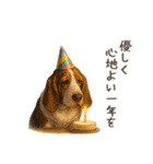 大切な人へ★犬いっぱいHAPPY BIRTHDAY★（個別スタンプ：16）