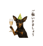 大切な人へ★犬いっぱいHAPPY BIRTHDAY★（個別スタンプ：17）