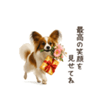 大切な人へ★犬いっぱいHAPPY BIRTHDAY★（個別スタンプ：18）