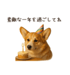 大切な人へ★犬いっぱいHAPPY BIRTHDAY★（個別スタンプ：19）