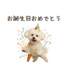 大切な人へ★犬いっぱいHAPPY BIRTHDAY★（個別スタンプ：20）