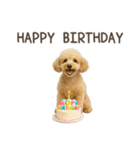 大切な人へ★犬いっぱいHAPPY BIRTHDAY★（個別スタンプ：23）