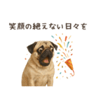 大切な人へ★犬いっぱいHAPPY BIRTHDAY★（個別スタンプ：24）
