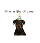 大切な人へ★犬いっぱいHAPPY BIRTHDAY★（個別スタンプ：25）