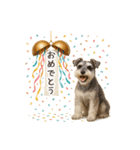 大切な人へ★犬いっぱいHAPPY BIRTHDAY★（個別スタンプ：27）
