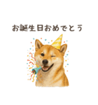 大切な人へ★犬いっぱいHAPPY BIRTHDAY★（個別スタンプ：30）
