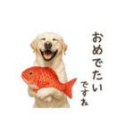 大切な人へ★犬いっぱいHAPPY BIRTHDAY★（個別スタンプ：40）