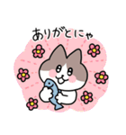 毎日使える！ハチワレ猫ちゃん（個別スタンプ：1）