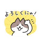 毎日使える！ハチワレ猫ちゃん（個別スタンプ：2）