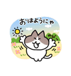 毎日使える！ハチワレ猫ちゃん（個別スタンプ：6）