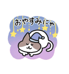 毎日使える！ハチワレ猫ちゃん（個別スタンプ：9）