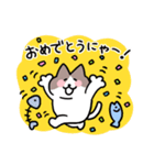 毎日使える！ハチワレ猫ちゃん（個別スタンプ：20）
