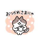 毎日使える！ハチワレ猫ちゃん（個別スタンプ：24）