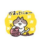 毎日使える！ハチワレ猫ちゃん（個別スタンプ：25）