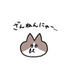 毎日使える！ハチワレ猫ちゃん（個別スタンプ：34）
