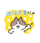 毎日使える！ハチワレ猫ちゃん（個別スタンプ：37）