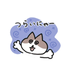 毎日使える！ハチワレ猫ちゃん（個別スタンプ：38）
