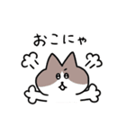 毎日使える！ハチワレ猫ちゃん（個別スタンプ：39）