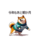 秋の始まり太っちょ柴犬（個別スタンプ：2）