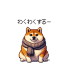 秋の始まり太っちょ柴犬（個別スタンプ：4）