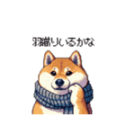 秋の始まり太っちょ柴犬（個別スタンプ：7）