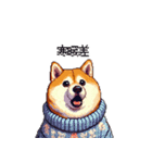 秋の始まり太っちょ柴犬（個別スタンプ：8）