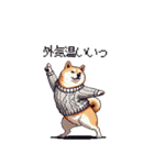 秋の始まり太っちょ柴犬（個別スタンプ：10）