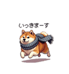 秋の始まり太っちょ柴犬（個別スタンプ：13）