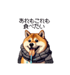 秋の始まり太っちょ柴犬（個別スタンプ：14）