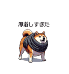 秋の始まり太っちょ柴犬（個別スタンプ：15）