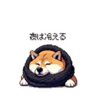 秋の始まり太っちょ柴犬（個別スタンプ：17）