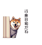 秋の始まり太っちょ柴犬（個別スタンプ：19）