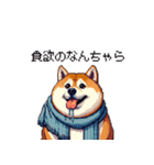 秋の始まり太っちょ柴犬（個別スタンプ：20）