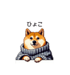 秋の始まり太っちょ柴犬（個別スタンプ：24）