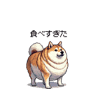 秋の始まり太っちょ柴犬（個別スタンプ：28）