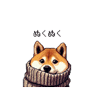 秋の始まり太っちょ柴犬（個別スタンプ：29）