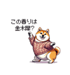 秋の始まり太っちょ柴犬（個別スタンプ：30）