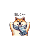 秋の始まり太っちょ柴犬（個別スタンプ：31）