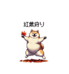 秋の始まり太っちょ柴犬（個別スタンプ：33）