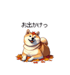 秋の始まり太っちょ柴犬（個別スタンプ：34）