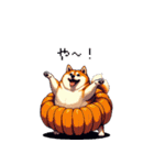 秋の始まり太っちょ柴犬（個別スタンプ：38）