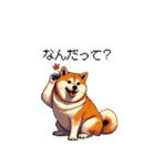 秋の始まり太っちょ柴犬（個別スタンプ：39）