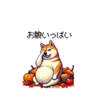 秋の始まり太っちょ柴犬（個別スタンプ：40）