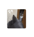 動くぱな（個別スタンプ：2）